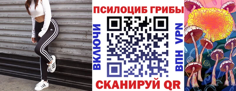 магазин продажи наркотиков  Тавда  Псилоцибиновые грибы GOLDEN TEACHER 